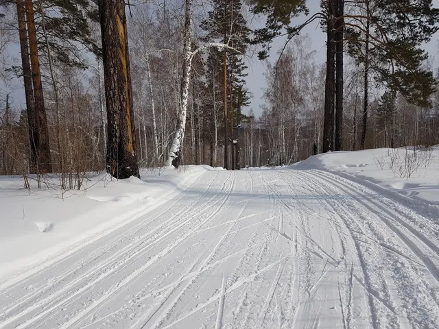 Ski and Biathlon Complex Angarskiy