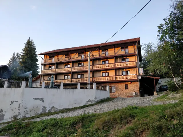 Creasta Cocosului Paltinis