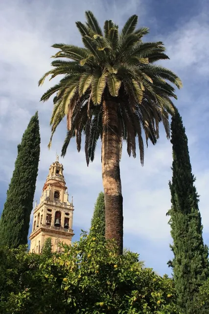 Torre de la Puerta del Rincón
