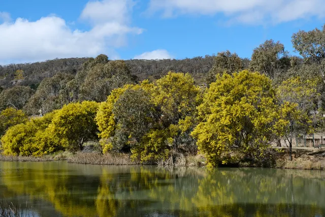 Lake Pillans Wetlands