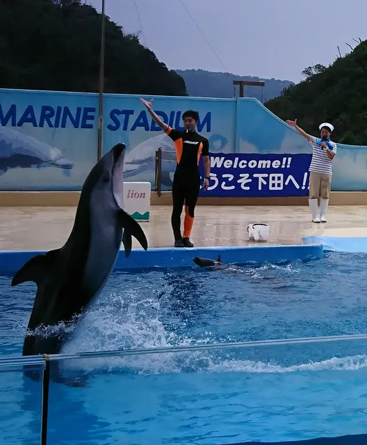 シモダカイチュウスイゾクカン