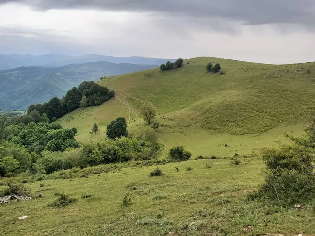 Up Towards the Sun Ecotrail