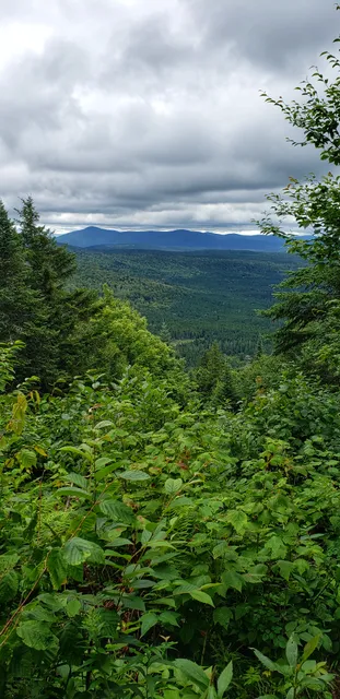 Stationnement Sentiers Frontaliers: Montagne de Marbre et Mont Saddle