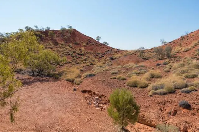 Lark Quarry Dinosaur Trackways