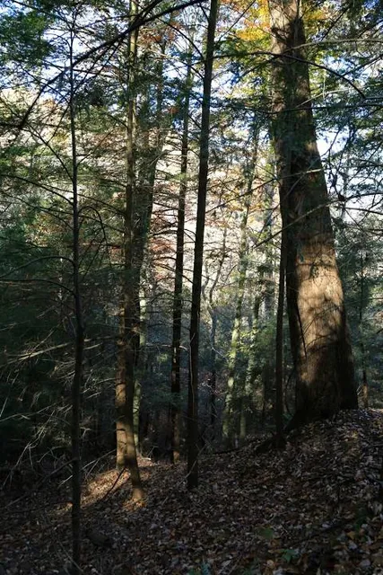 Southampton Township