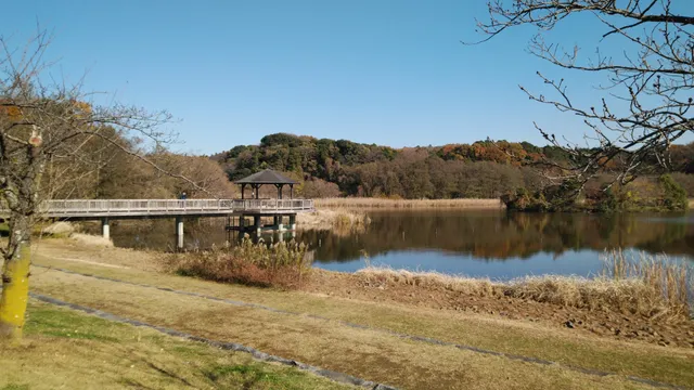 21st Century Forest and Square