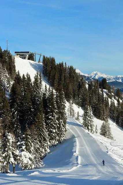 Ski amadé