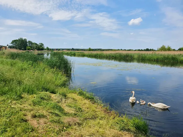 Jezioro Wieliszewskie