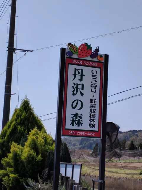 place image