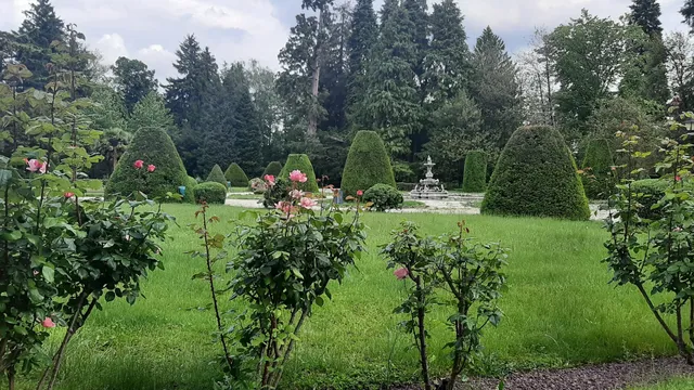 photo-2