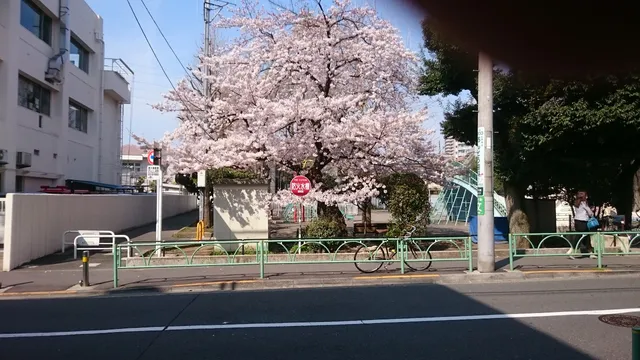 Setagaya Maruyama Park