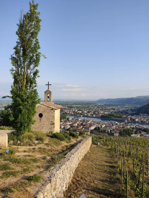 Wine and Ride Tain l'Hermitage - visite de caves à vélo