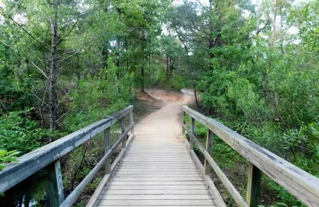 Purtis Creek State Park