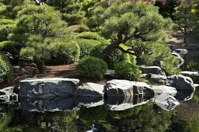 The Japanese Gardens
