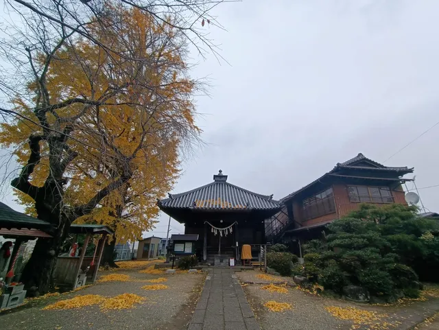 Zennyuin Temple Kannondo