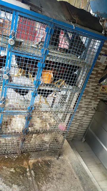Senbagam Chicken Center