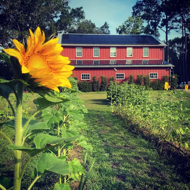 Full Circle Farm, Johns Island, SC