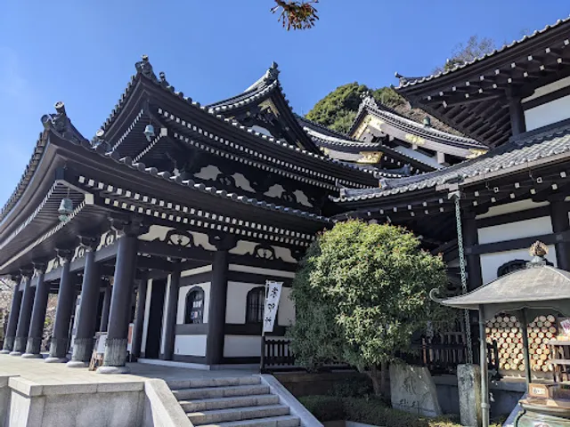 Hasedera