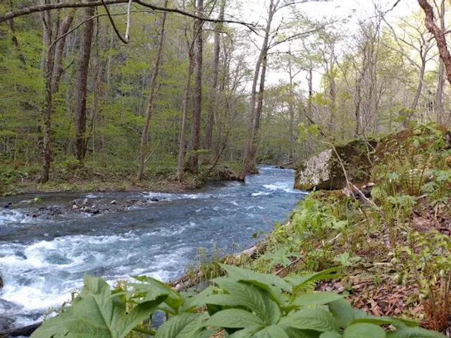 Oirase keiryū Gorge