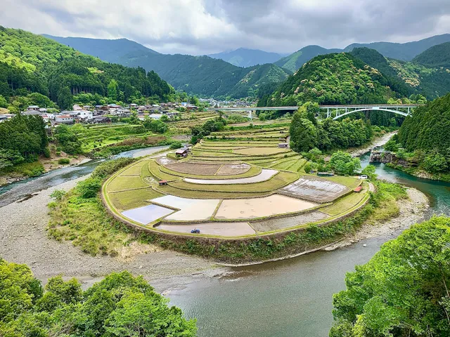 Aragi Island Rice Terraces