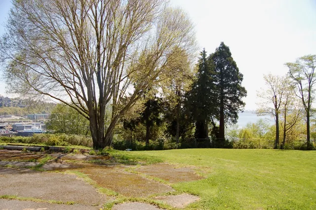 Ursula Judkins Viewpoint