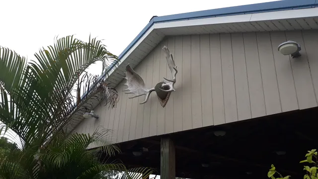 Loyal Order of Moose