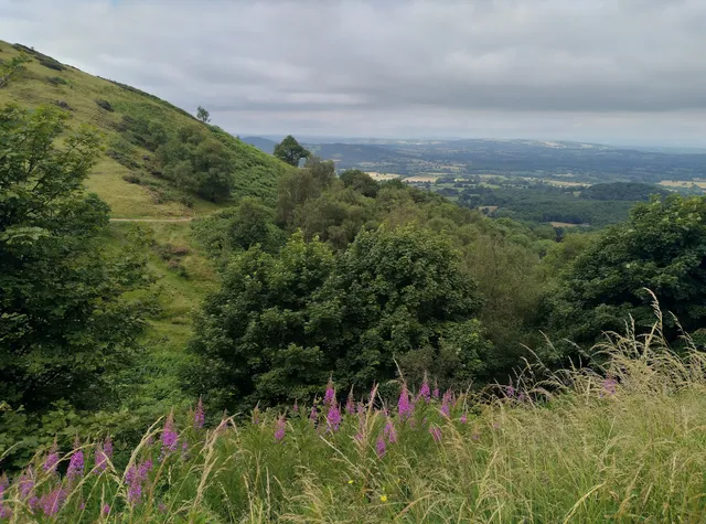 Sugarloaf Hill, Malverns