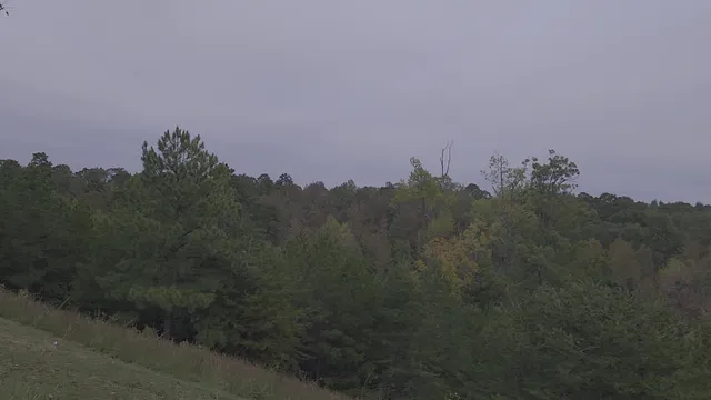 BMW Manufacturing Hall 52