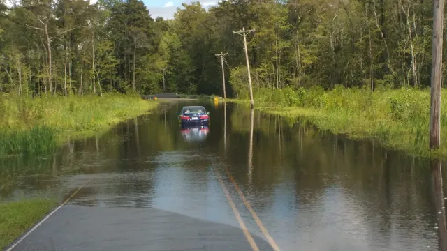 Stallings Wholesale Meats