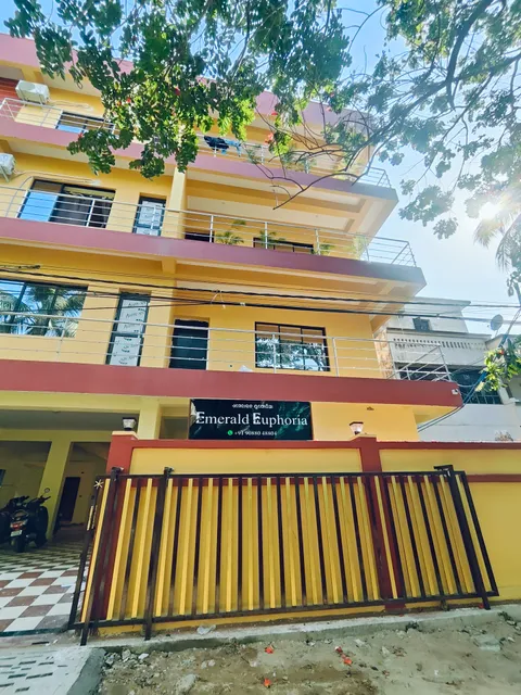 Collection O Emerald Euphoria