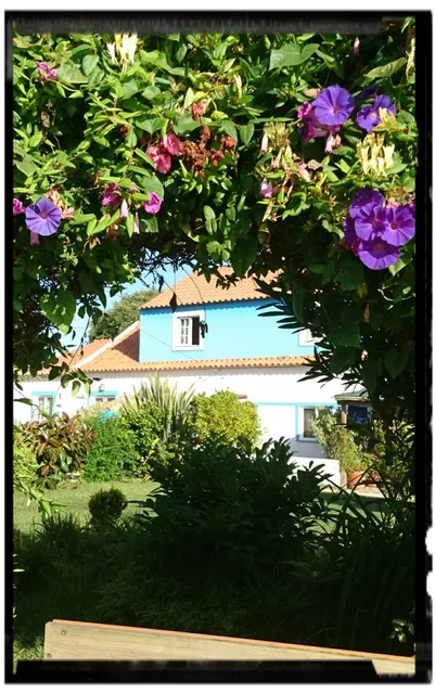 Monte Ramos De Oliveira