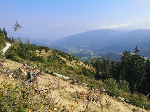Forest hut on Kašna planina