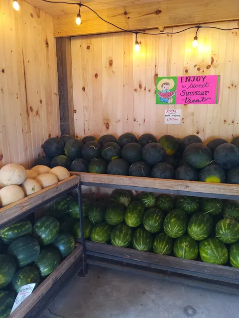 Sunnyside Honey Bees