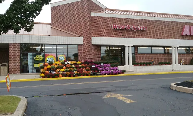 Village Mall