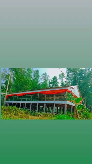 نوف سويت للشقق المفروشة