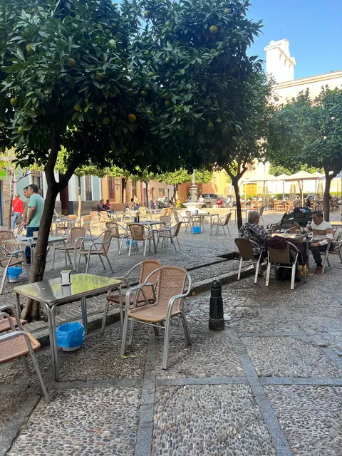 Café Santa Marta Bar