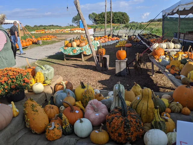 Town & Country Nursery