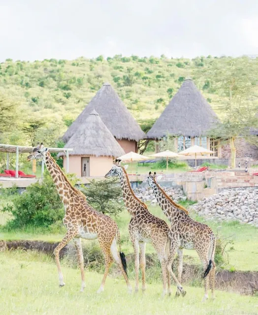 Serengeti National Prak Safaris