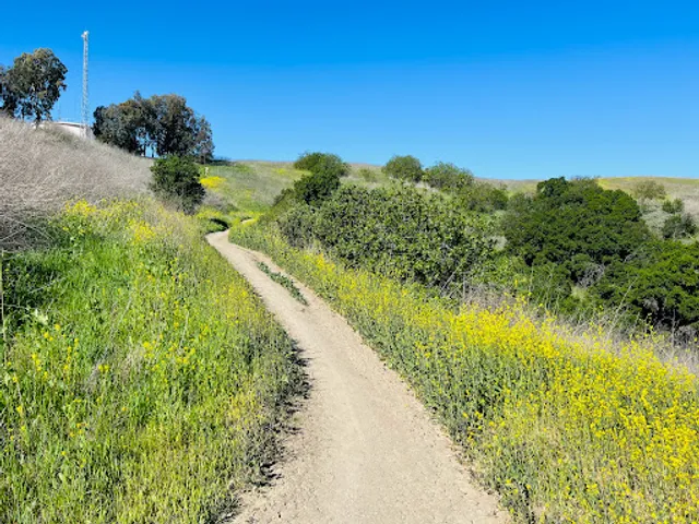 Black Walnut Trailhead
