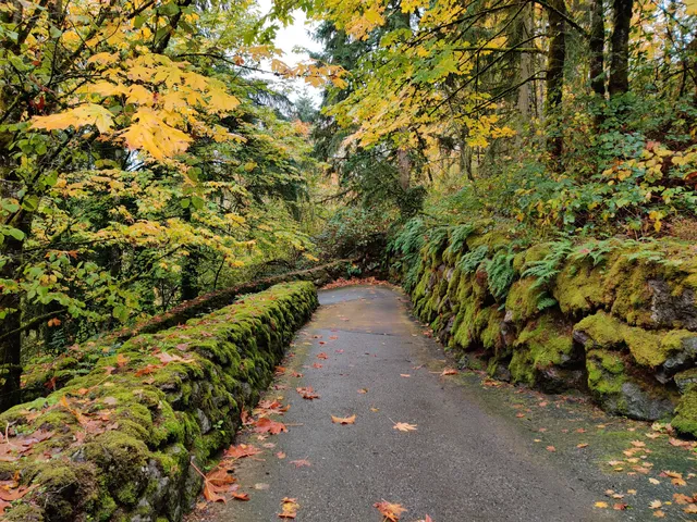 Sunrise Park & Trailhead