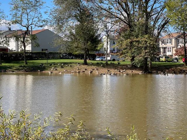 David Lane Recreational Park