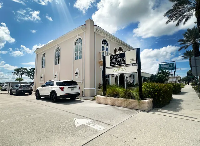 James Griffith Salon of Venice