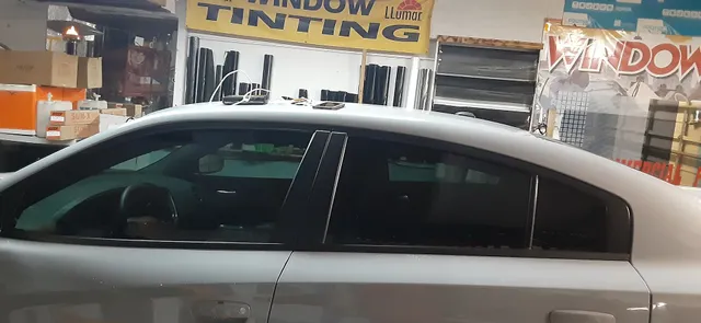 Window Tint Polarizado