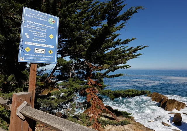 Monterey Bay Coastal Trail