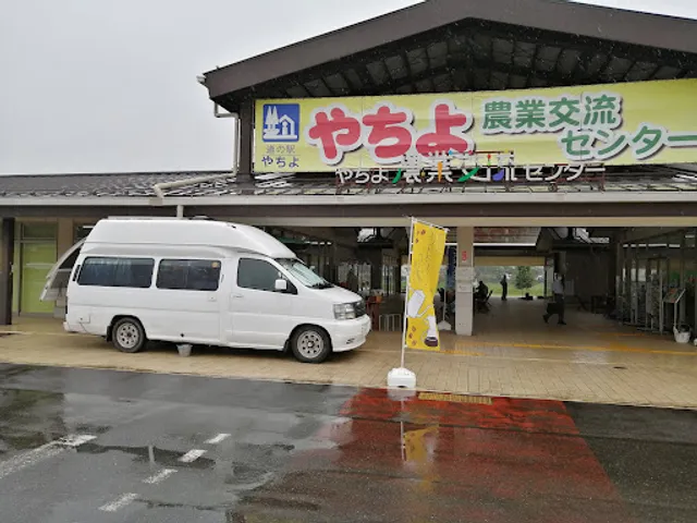 松山珈琲 Matsuyama Coffee