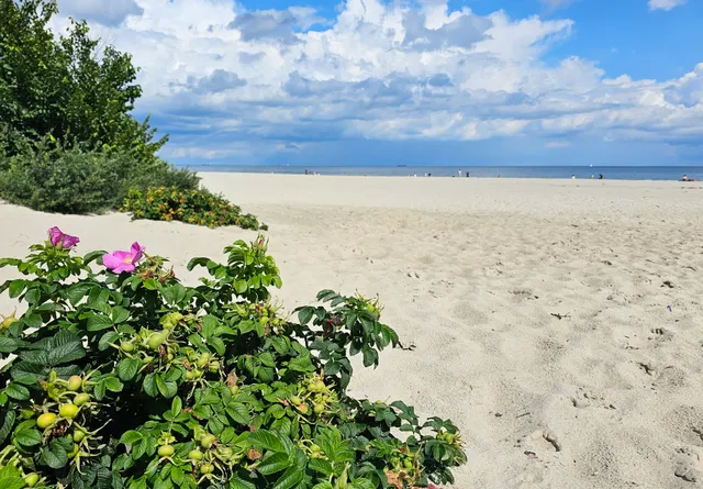 Plaża przy Westerplatte