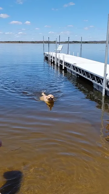 Village of Marquette