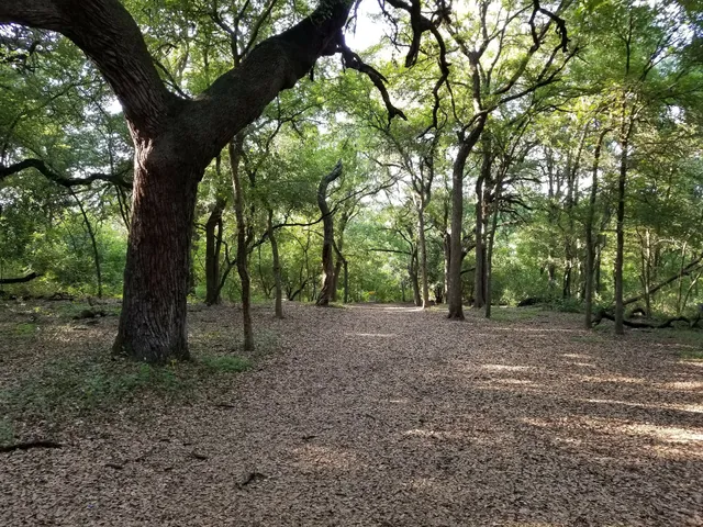 Universal City Disc Golf Course