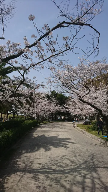 Munday Suehiro Park taman