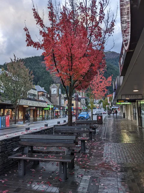 RealNZ X Cardrona Visitor Centre